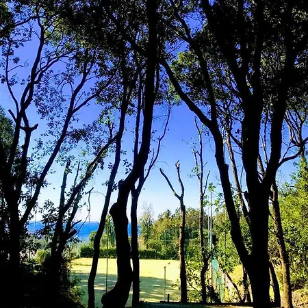 Holiday home La Casina Di Lola *